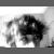 :iconcudey:
