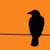 :iconcuervosstudio: