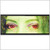 :iconcuke13: