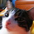 :iconcuki2284: