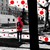 :iconcul-de-sac-83: