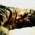 :iconcullenvampire: