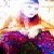 :iconcultureboogle: