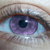 :iconcumpasara: