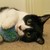 :iconcunningcatcrafts: