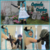 :iconcupcake-cosplay: