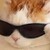 :iconcupcake02: