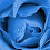 :iconcupcake9392: