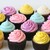 :iconcupcakefreak1234: