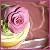 :iconcupcakeninja811: