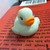 :iconcupcakez-domo:
