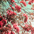 :iconcupid-struck: