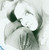 :iconcupidess: