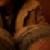 :iconcupnsaucer: