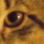 :iconcuppidoll: