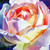 :iconcurieux-stranger: