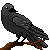 :iconcurious-crow-crafts: