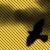 :iconcurious-Rainette: