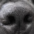 :iconcuriousbeast: