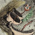 :iconcuriouscalamities: