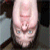:iconCuriousLemur: