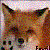 :iconcurl-fetish: