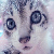 :iconcurlyfx: