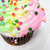 :iconcurrymuffin: