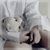 :iconcursedrine: