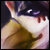 :iconcursedweirdo:
