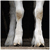 :iconcurtainnumber3: