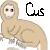 :iconcus-coo: