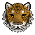 :iconcushfish: