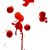 :iconcustomflip: