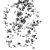:iconcutaxilliselem: