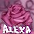:iconcute-in-purple: