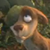 :iconcutebuckplz: