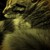:iconcutehippiepsychopath: