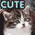 :iconcutekitty2k4: