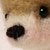 :iconcuteology: