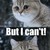 :iconcutiechibimomo: