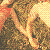 :iconcutieinadeathcab: