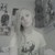 :iconcutiepie101234: