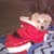 :iconcutiepielol5:
