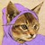 :iconcuttlefisher: