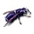 :iconCutYa: