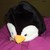 :iconcutywuty33: