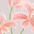 :iconcv02kagaminerin: