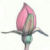 :iconcvidal: