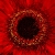 :iconcw-art-photography: